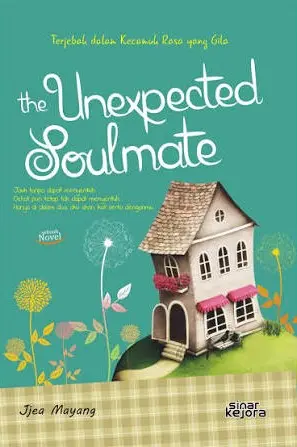 The Unexpected Soulmate