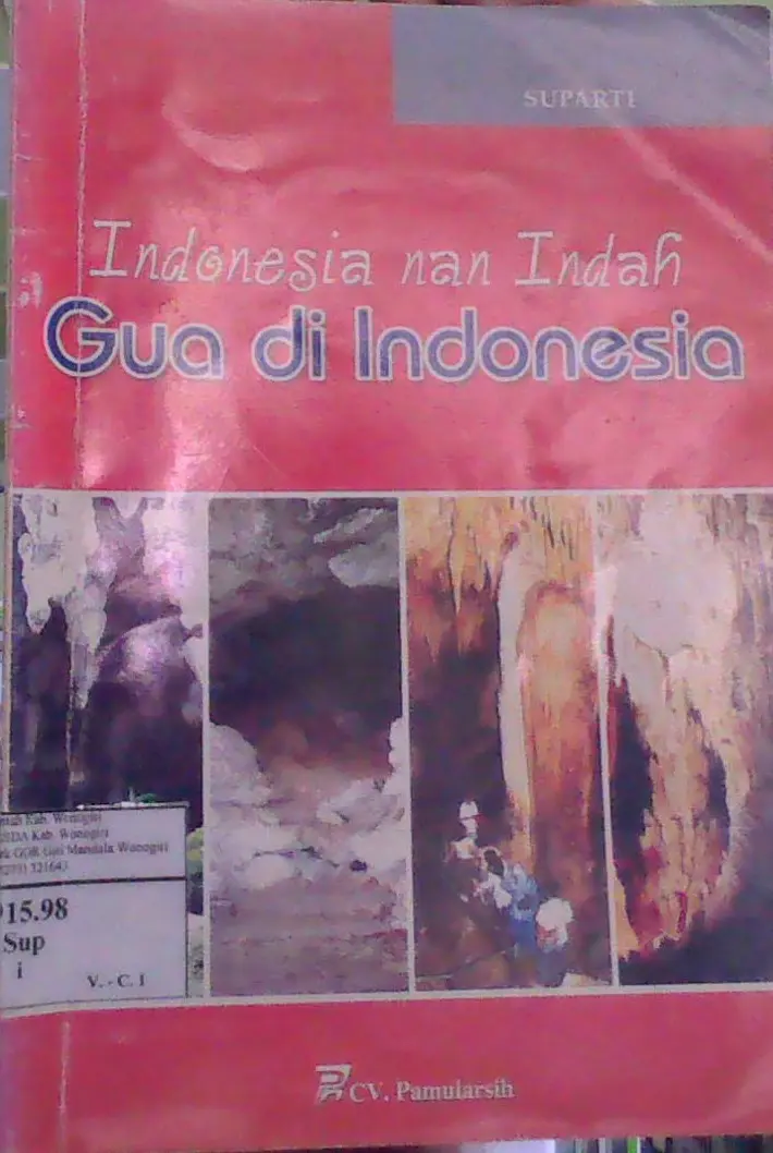 Indonesia Nan Indah Gua di Indonesia