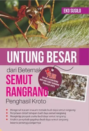 Untung Besar Dari Beternak Semut Rangrang Penghasil Kroto