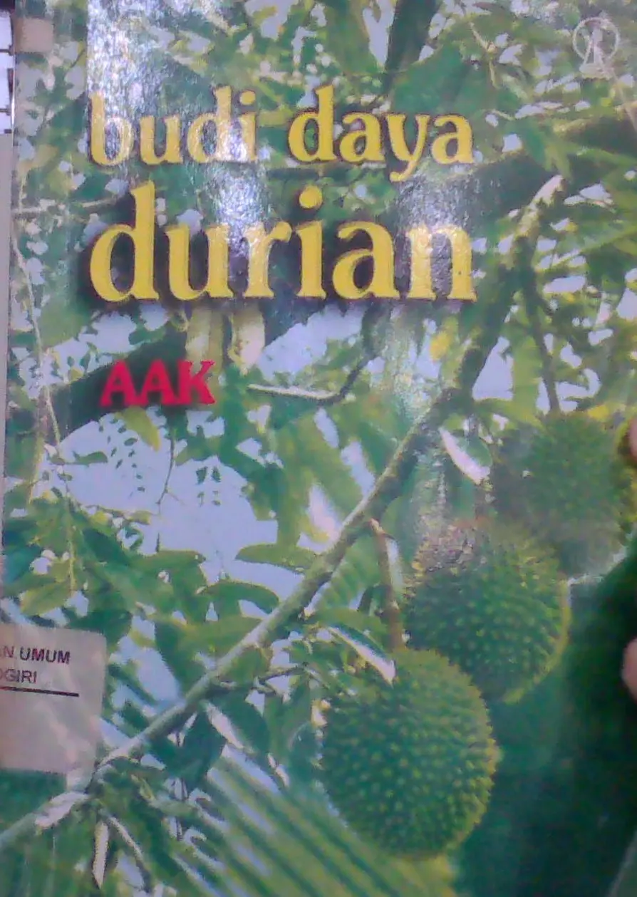 Budi Daya Durian