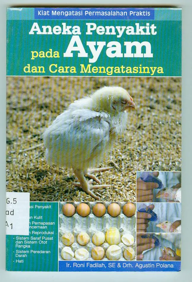 Aneka Penyakit Pada Ayam dan Cara Mengatasinya