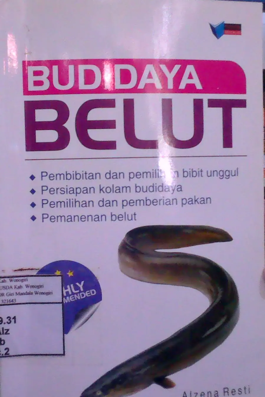 Budidaya Belut