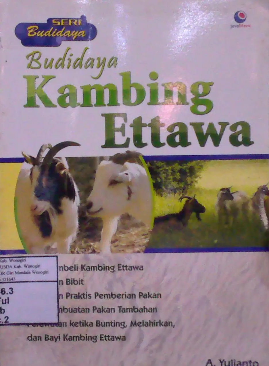 Budidaya Kambing Ettawa