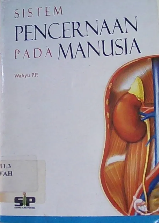 Sistem Pencernaan Pada Manusia