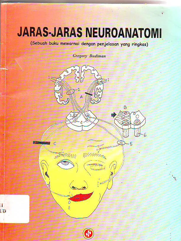 Jaras - Jaras Neuroanatomi