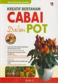 Kreatif Bertanam Cabai dalam Pot