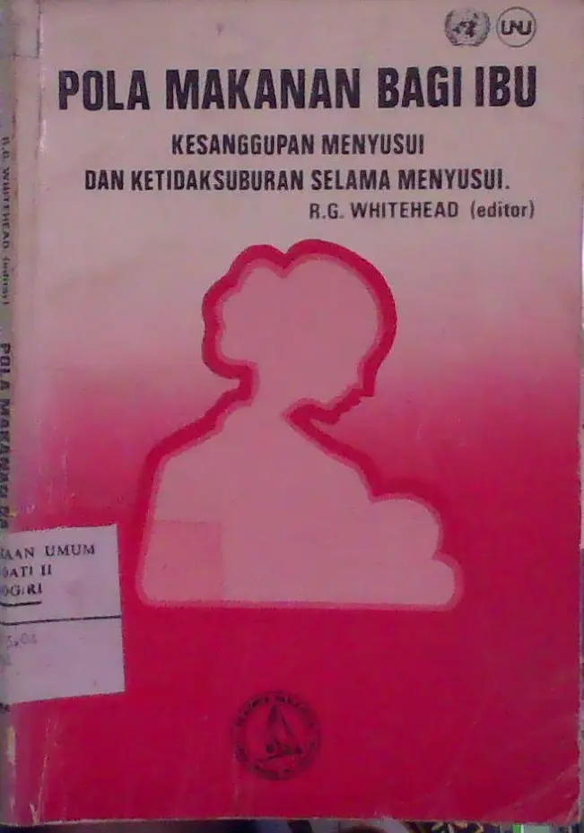 Pola Makanan Bagi Ibu