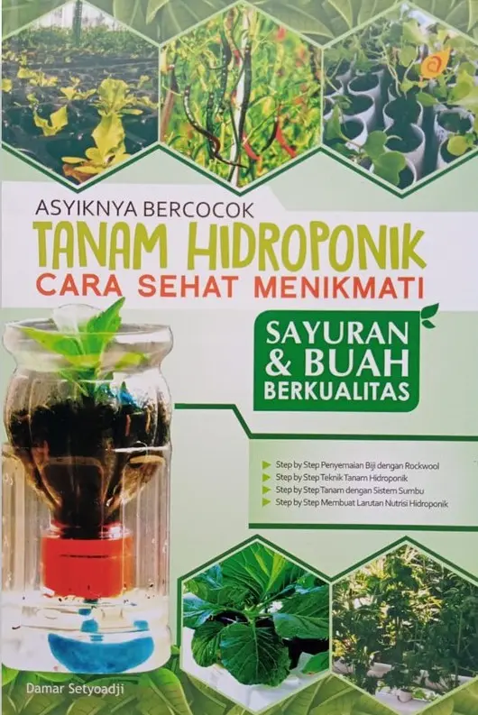 Asyiknya Bercocok Tanam Hidroponik