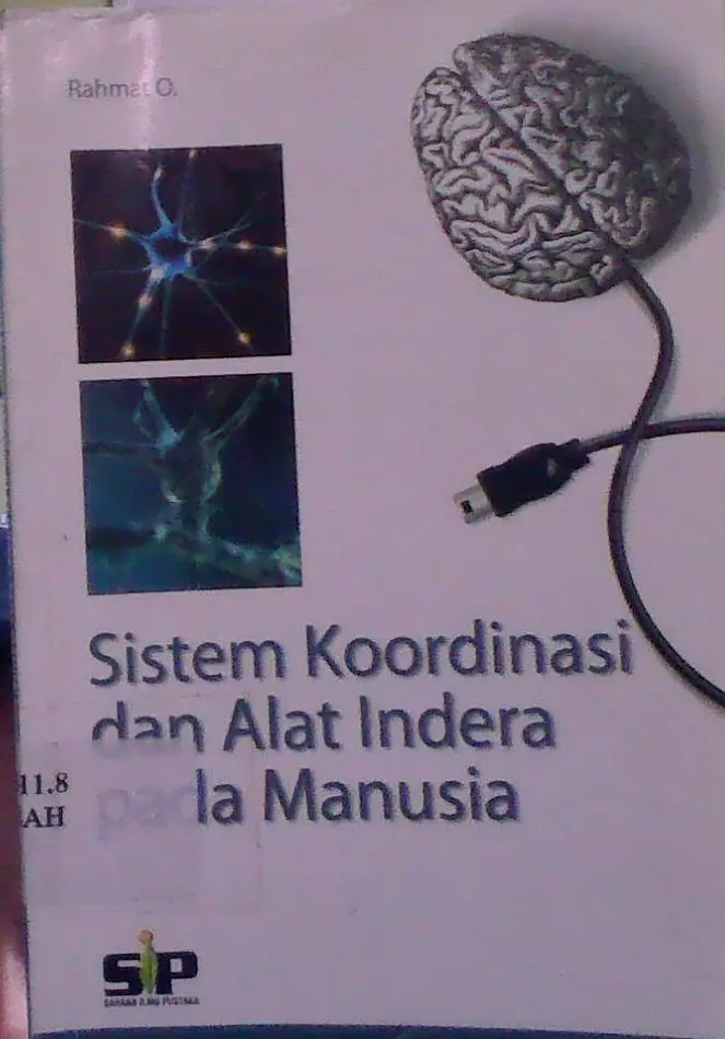 Sistem Koordinasi dan Alat Indra Pada Manusia