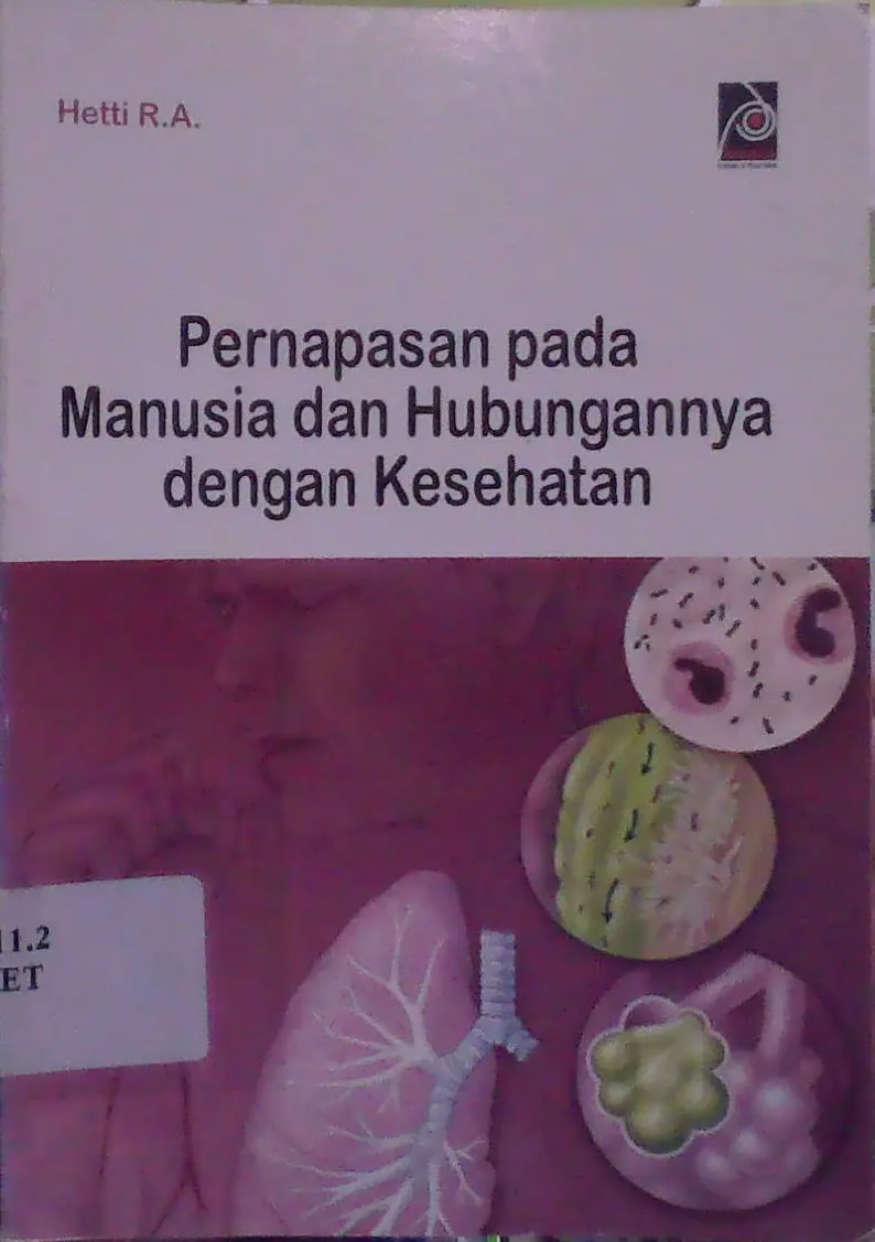 Pernapasan Pada Manusia Dan Hubungannya Dengan Kesehatan