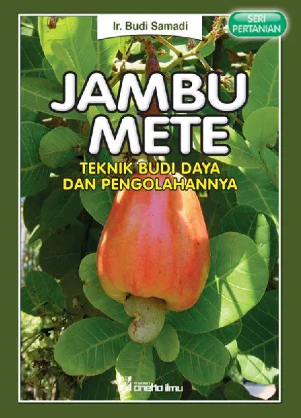 Jambu Mete