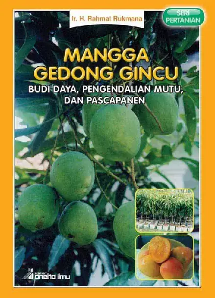 Mangga Gedong Gincu