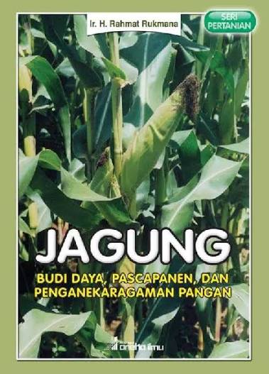 Jagung
