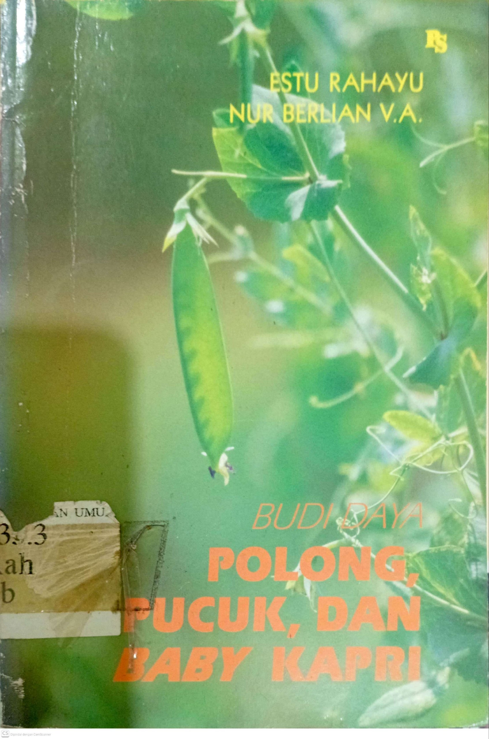 Budi daya polong, pucuk, dan baby kapri