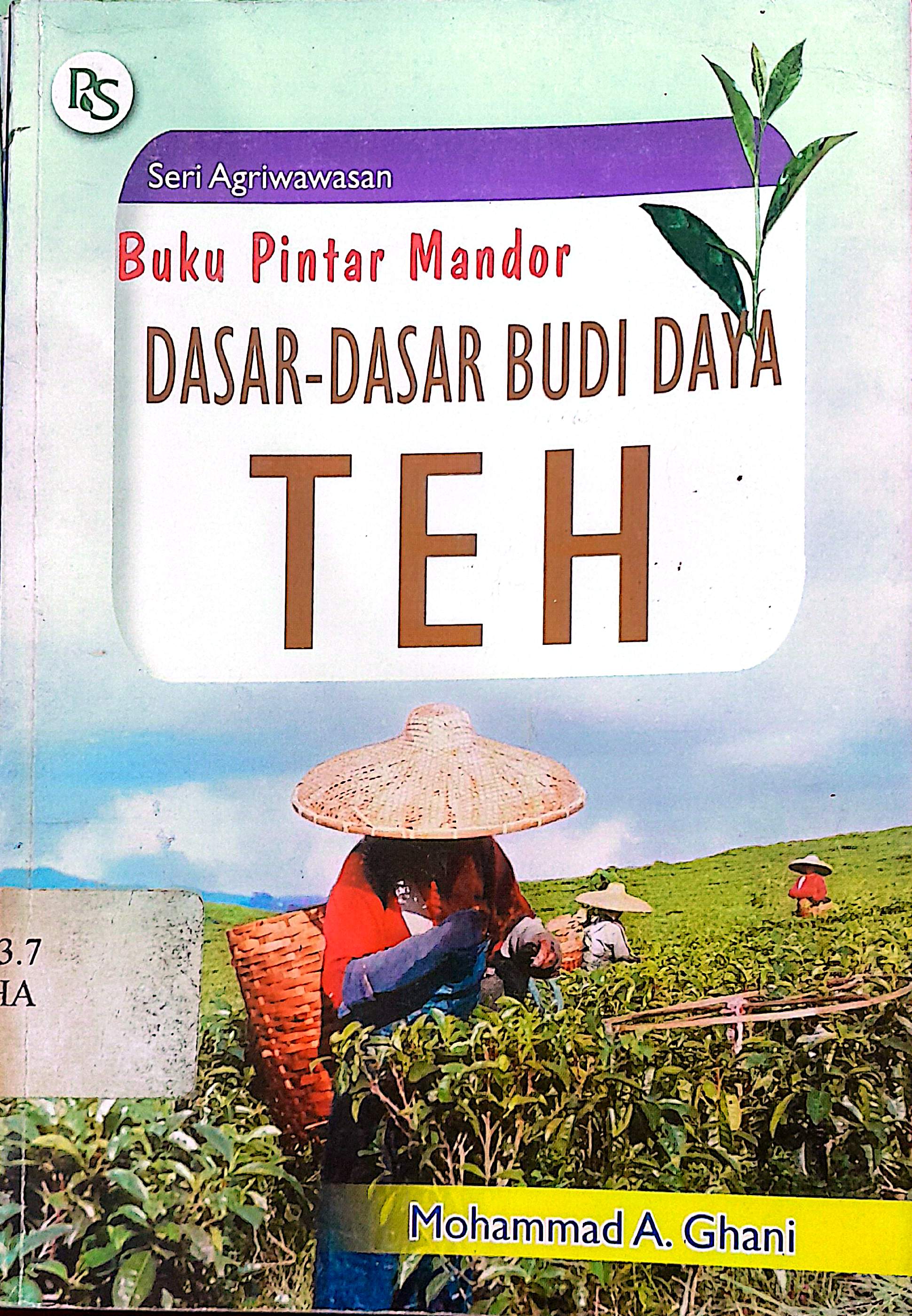 Dasar-Dasar Budi Daya Teh