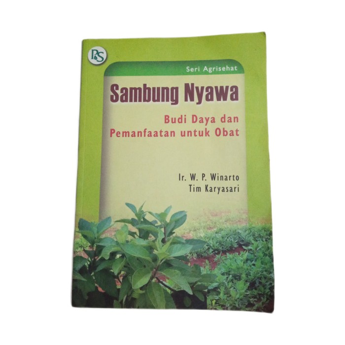Sambung Nyawa: Budi Daya dan Pemanfaatan untuk Obat