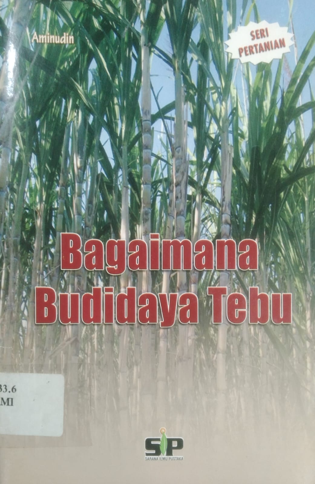 Bagaimana Budidaya Tebu