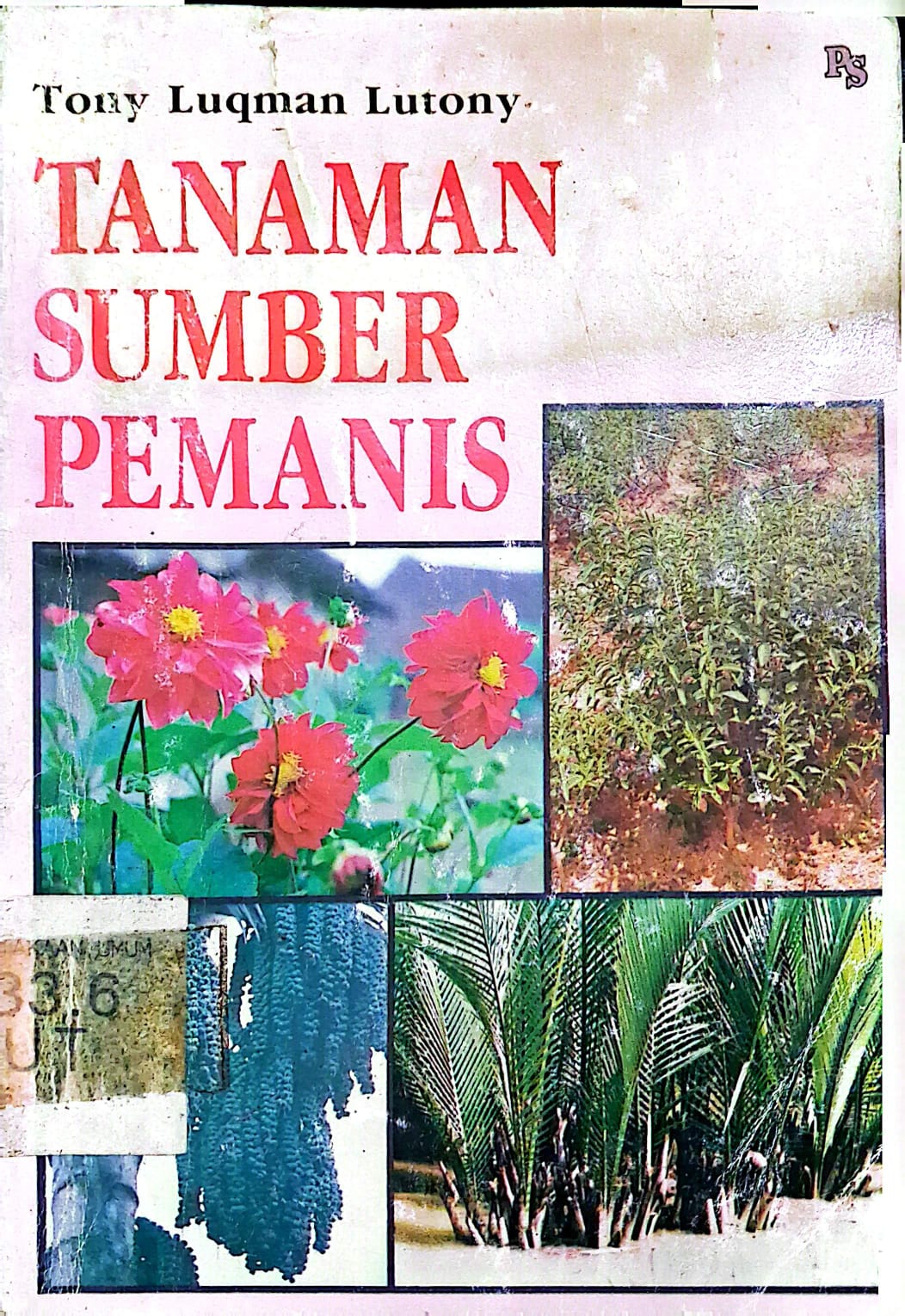 Tanaman Sumber Pemanis