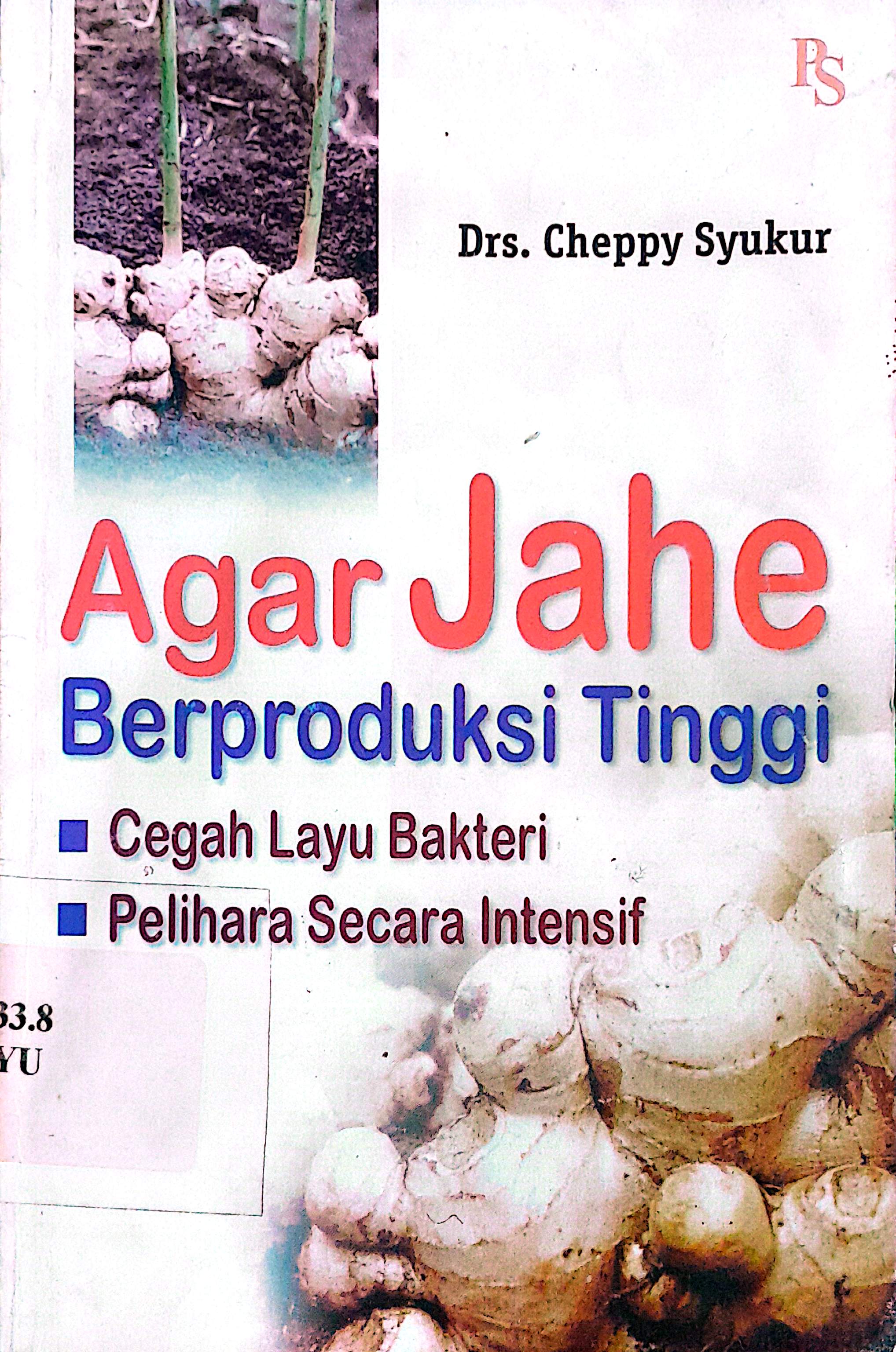 Agar Jahe Berproduksi Tinggi