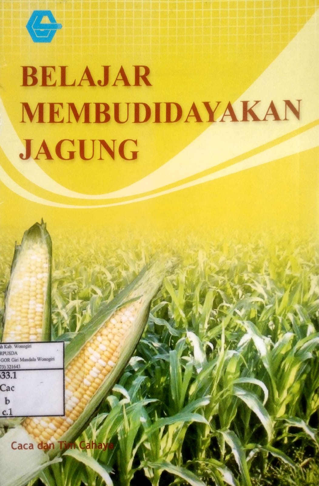 Belajar Membudidayakan Jagung