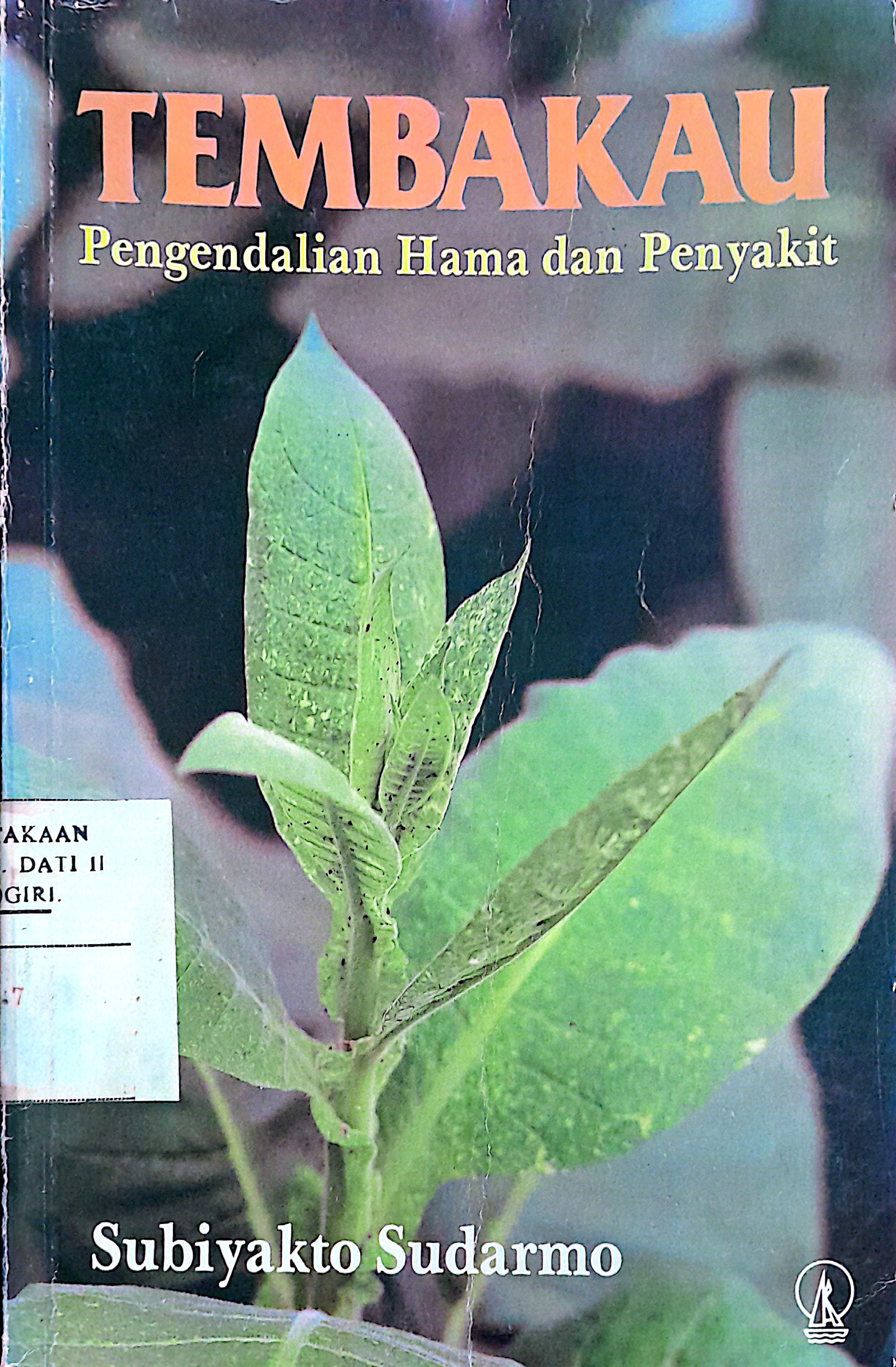 Tembakau