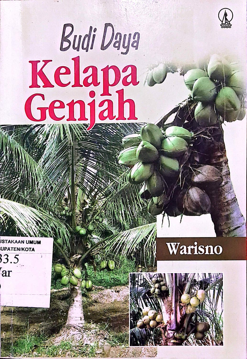 Budi Daya Kelapa Genjah