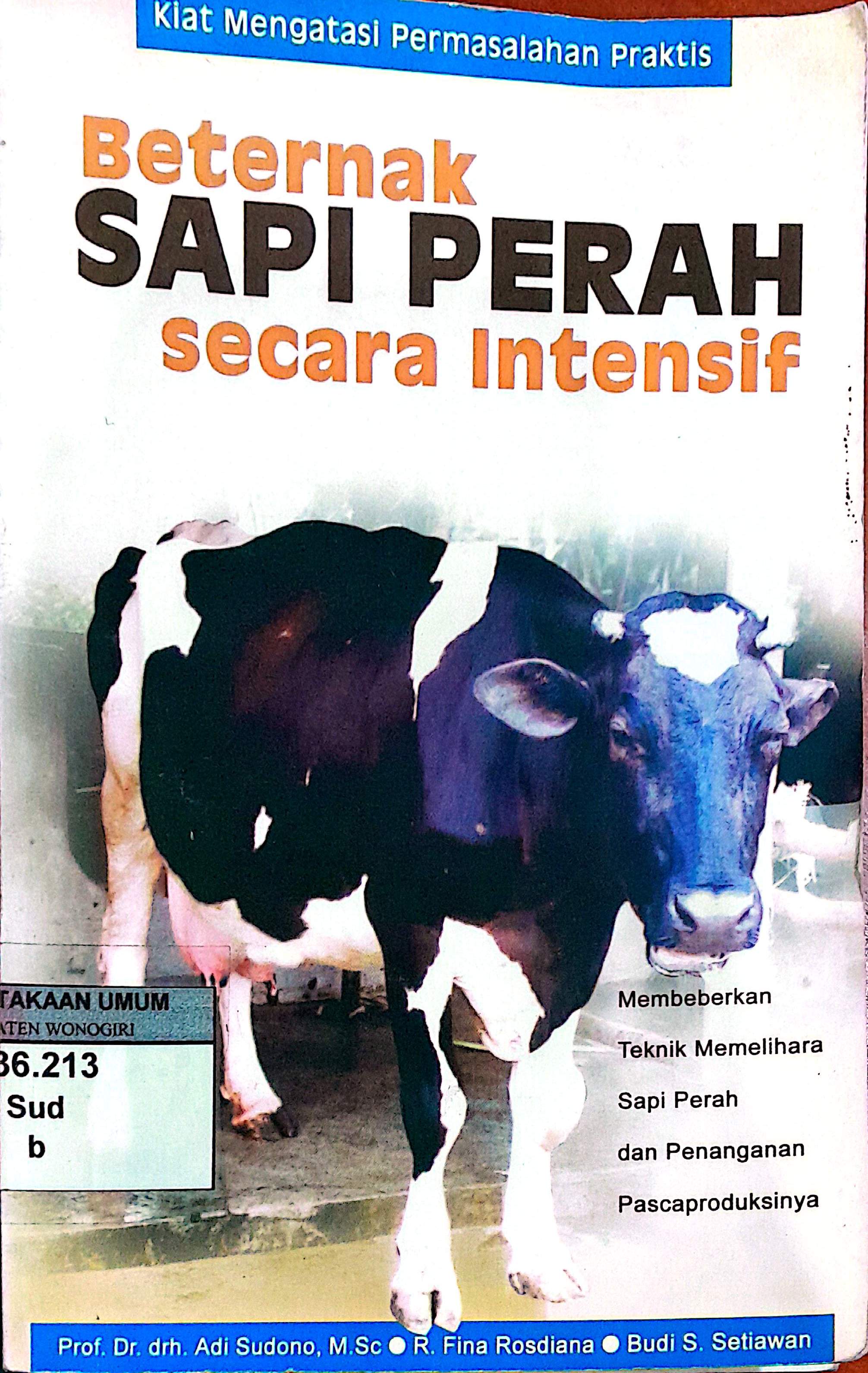 Beternak Sapi Perah secara Intensif