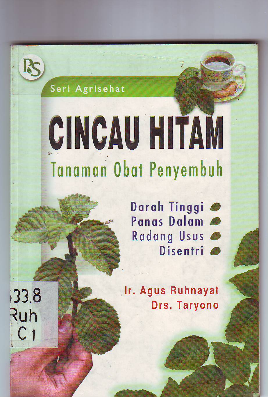 Cincau Hitam