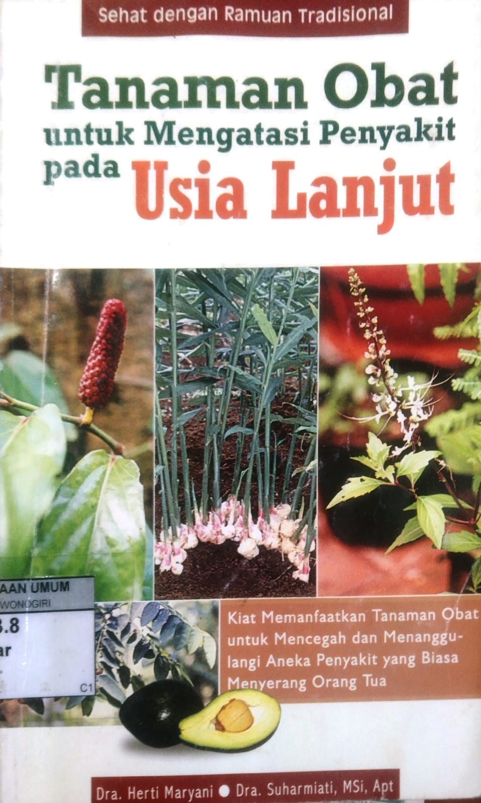 Tanaman Obat untuk Mengatasi Penyakit pada Usia Lanjut