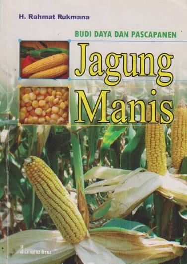 Jagung Manis