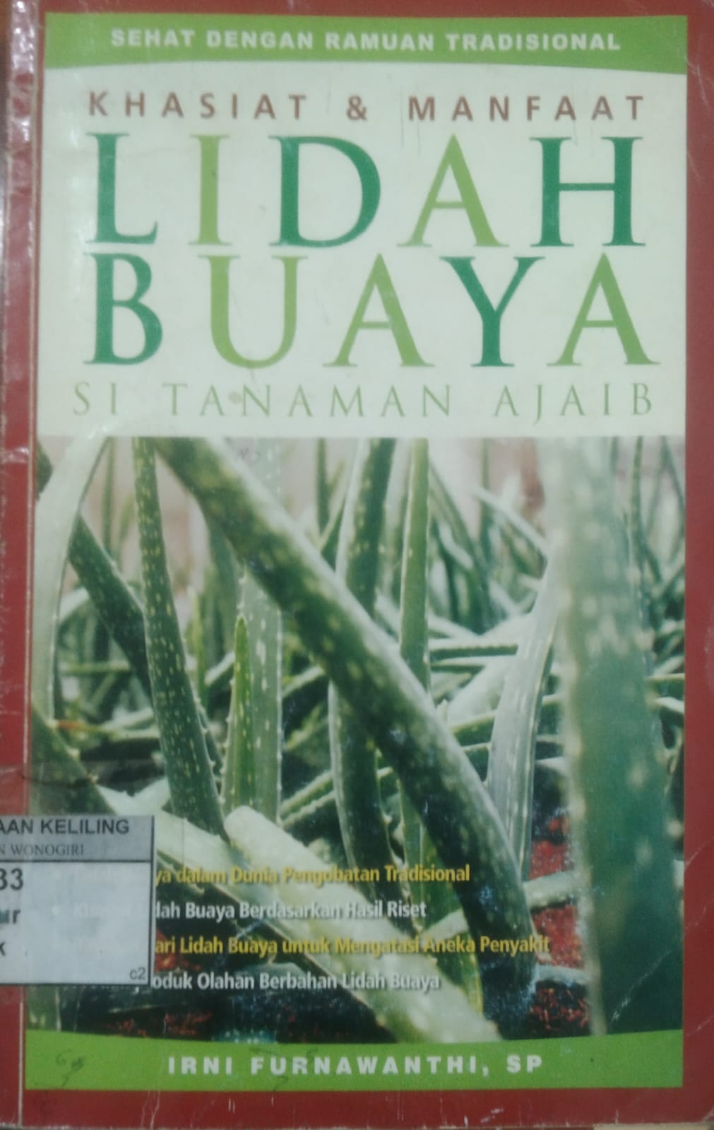 Khasiat dan Manfaat Lidah Buaya