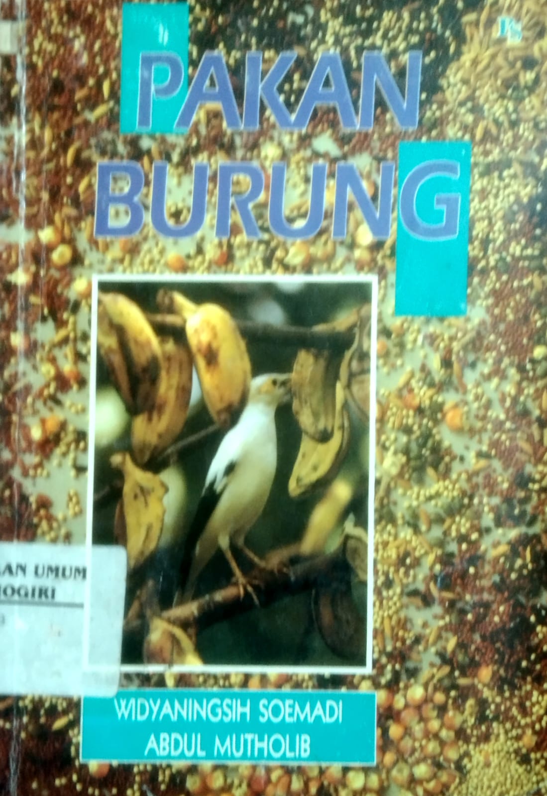 Pakan Burung