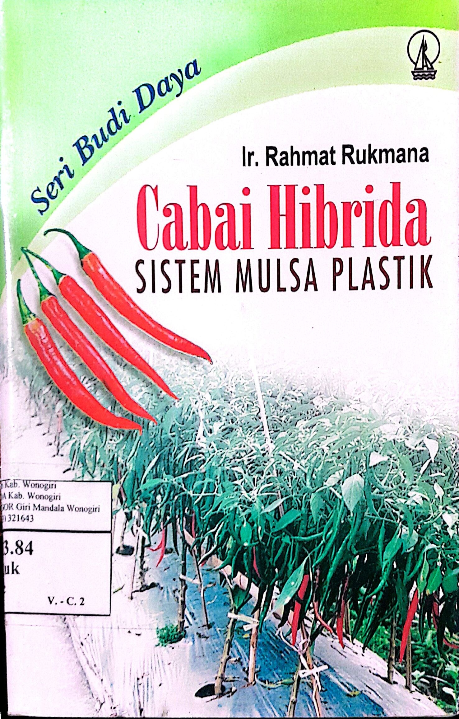 Cabai Hibrida