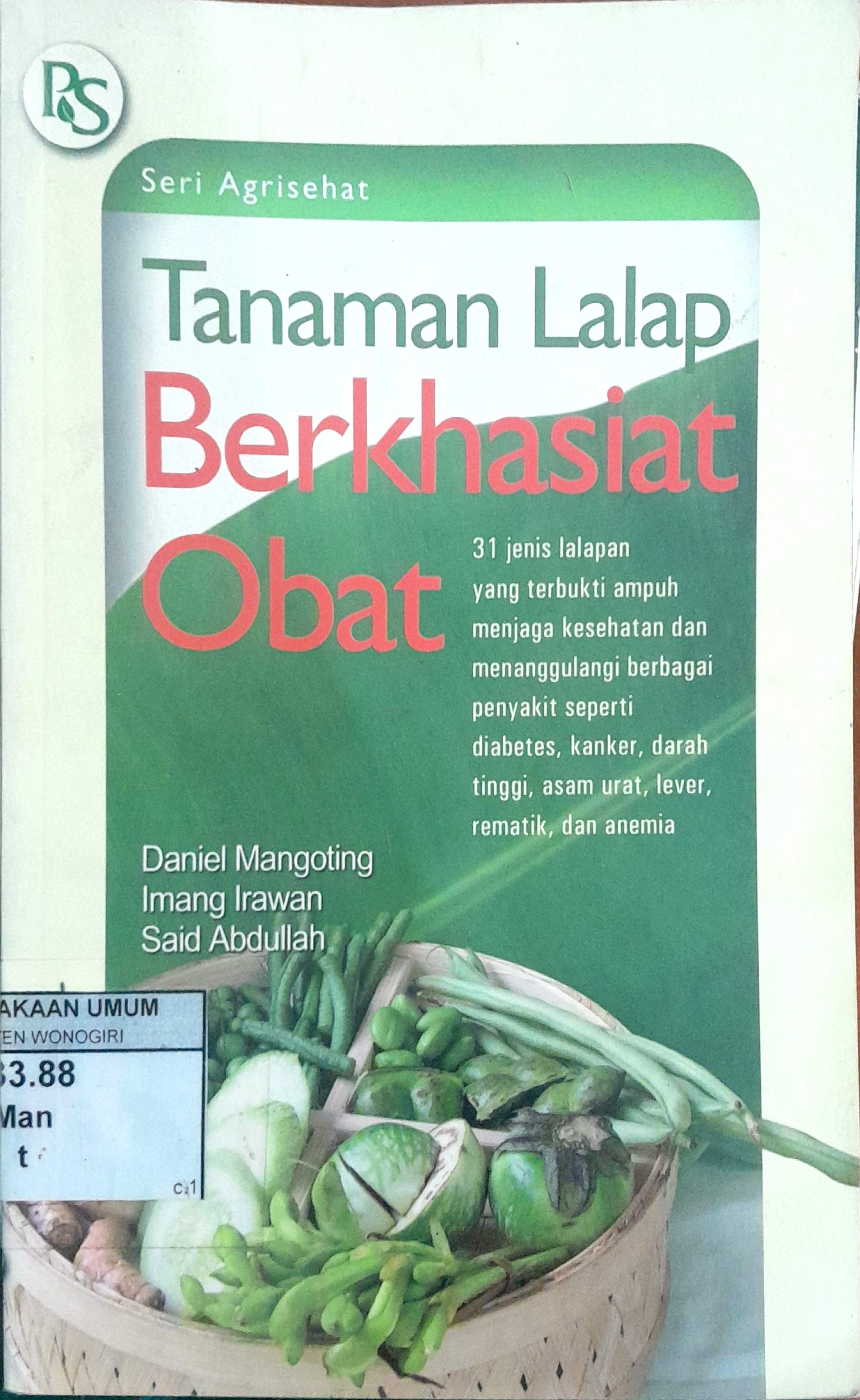 Tanaman Lalap Berkhasiat Obat