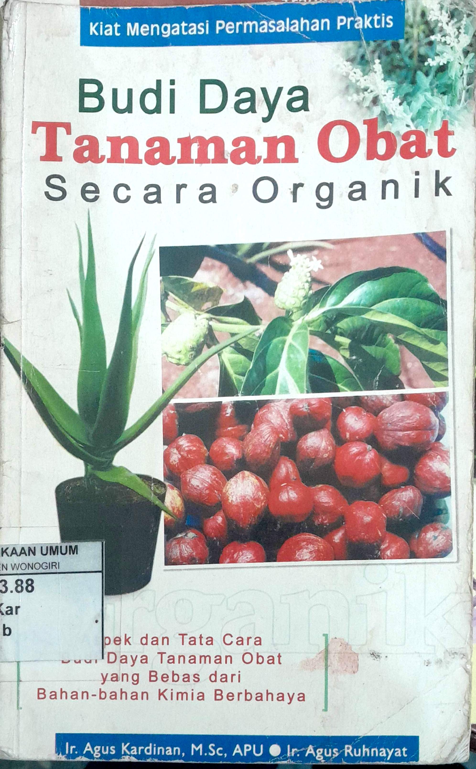 Budi Daya Tanaman Obat Secara Organik