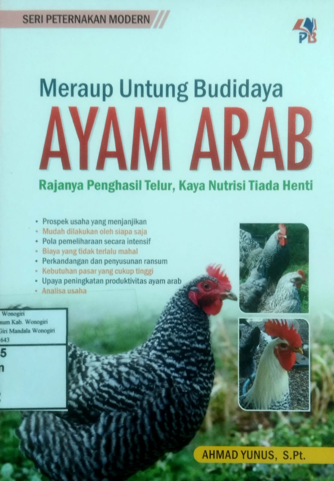 Meraup Untung Bisnis Ayam Arab