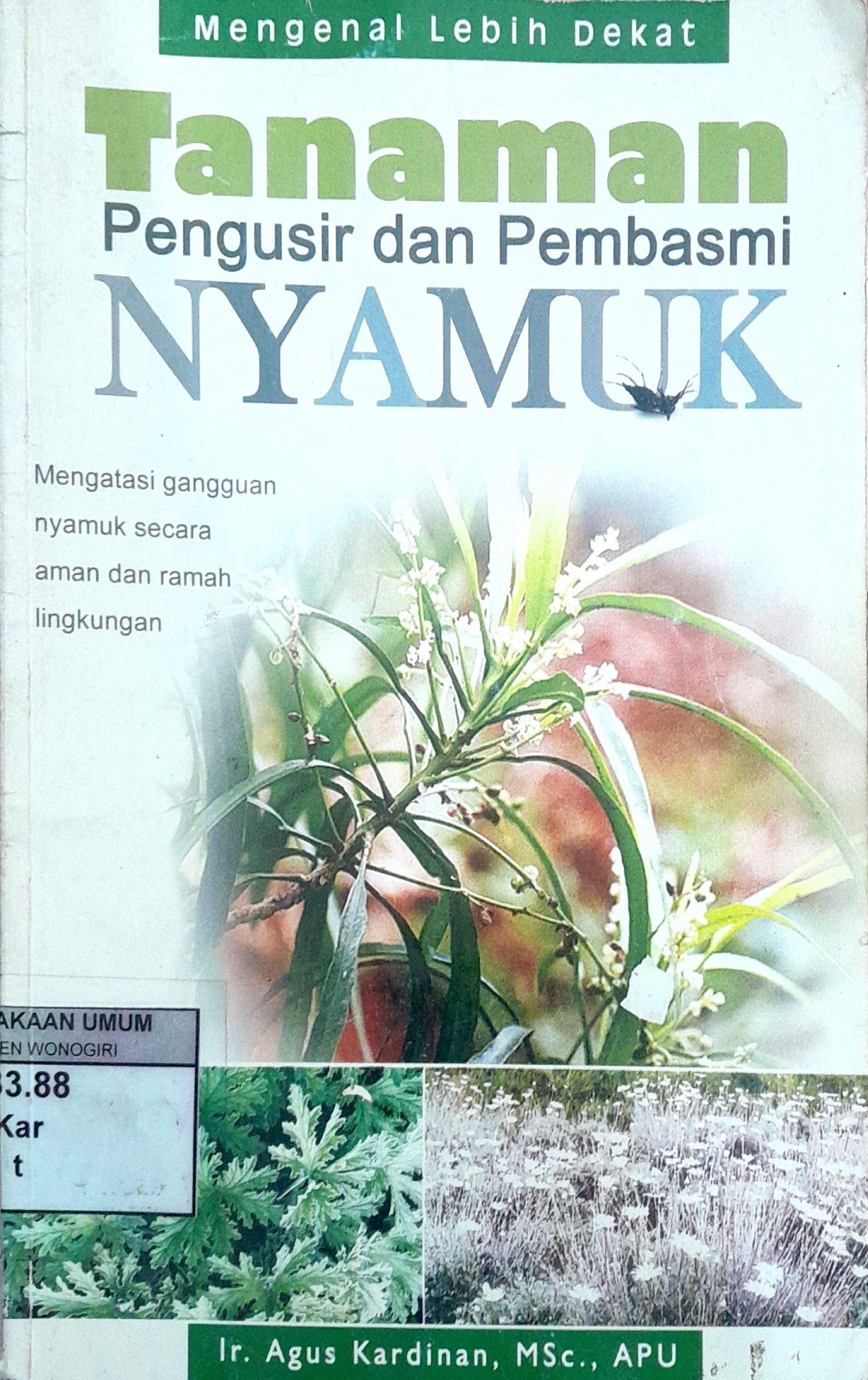 Tanaman Pengusir dan Pembasmi Nyamuk