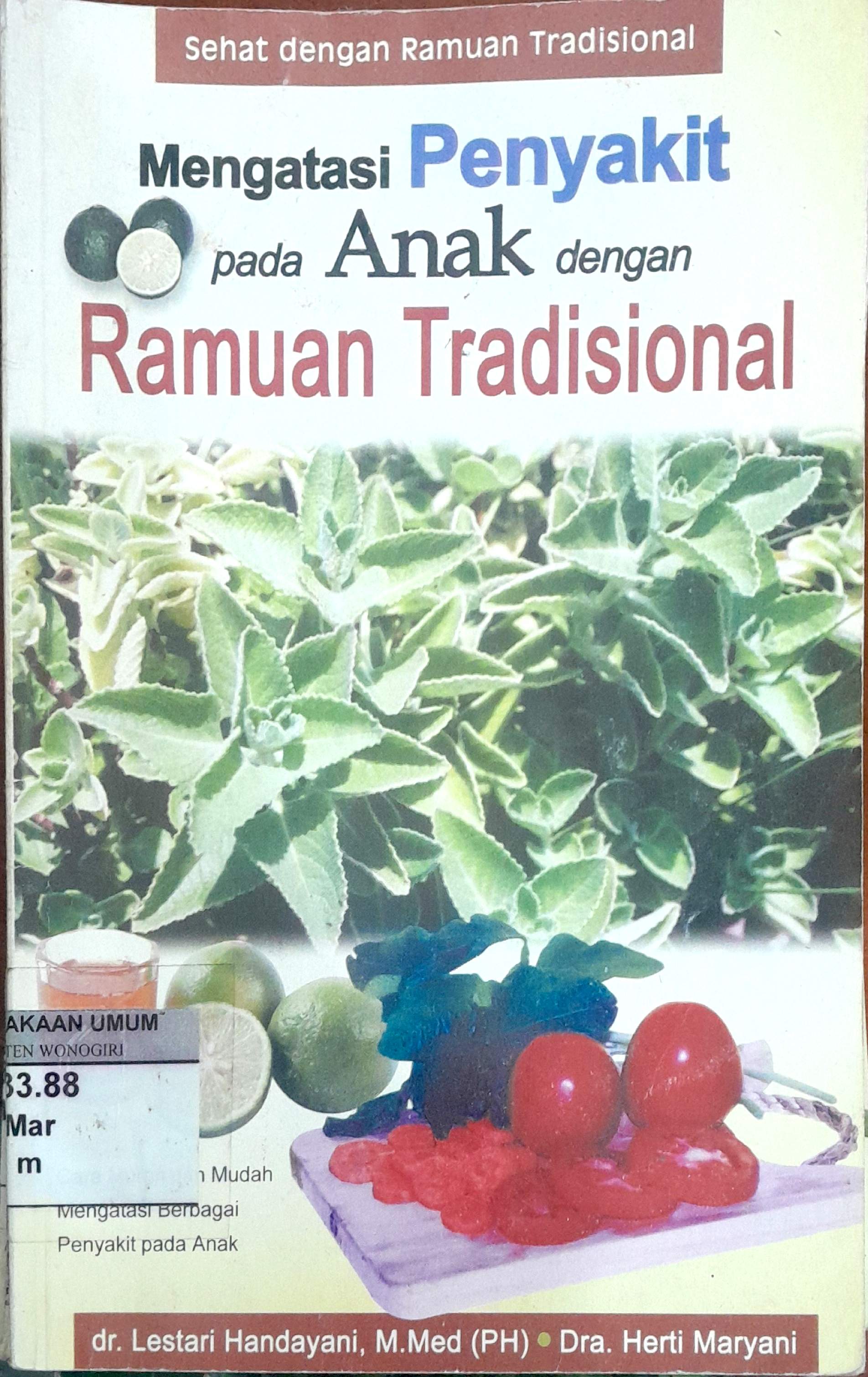 Mengatasi Penyakit pada Anak dengan Ramuan Tradisional