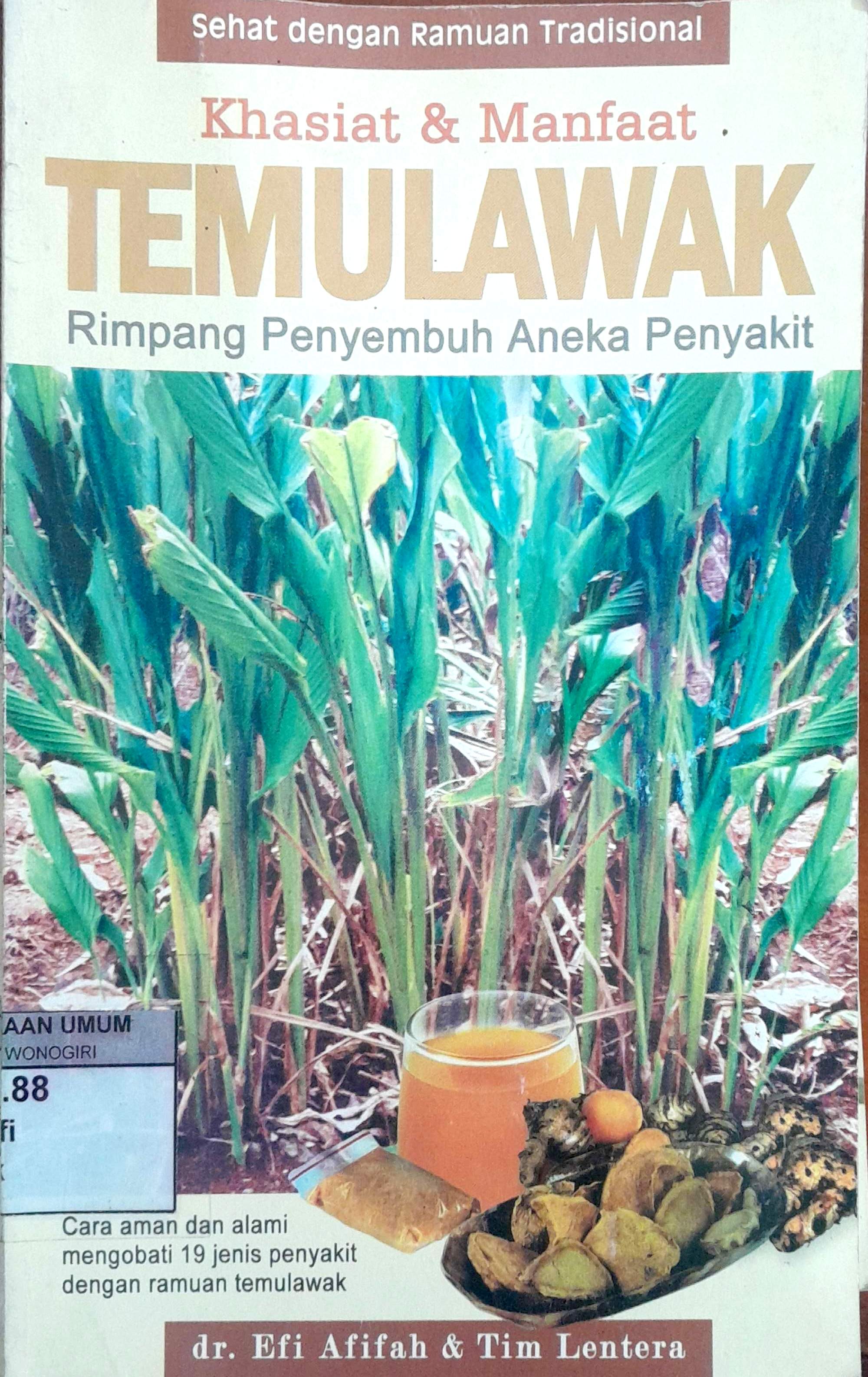 Khasiat dan Manfaat Temulawak