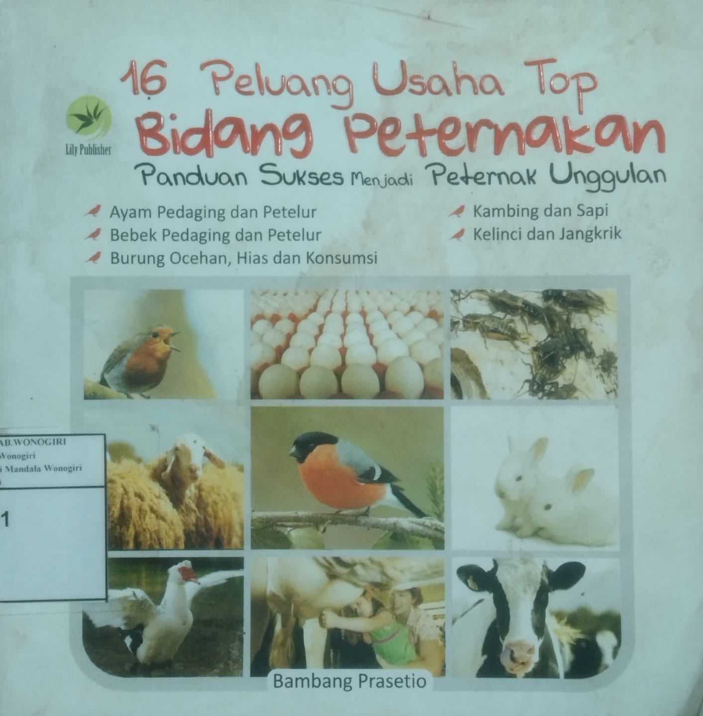 16 Peluang Usaha Top Bidang Peternakan