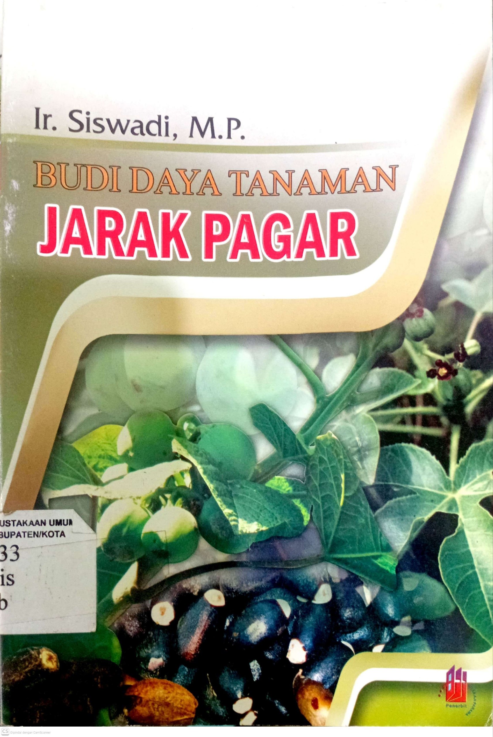 Budidaya Tanaman Jarak Pagar