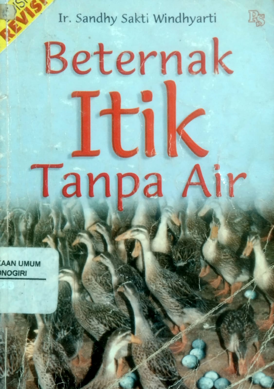 Beternak Itik Tanpa Air