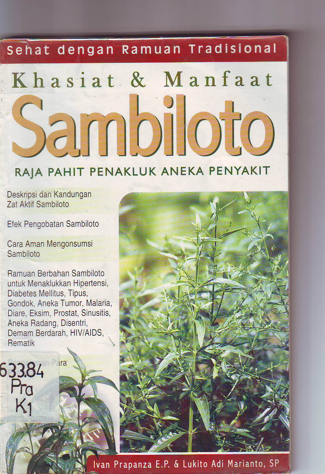 Khasiat & Manfaat Sambiloto
