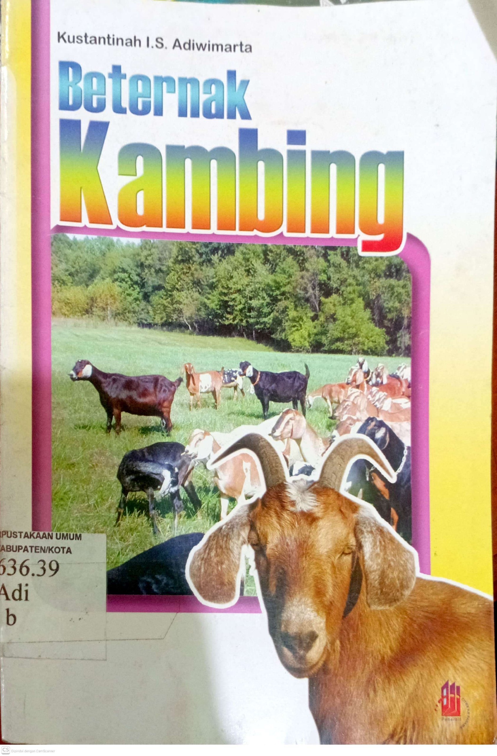 Beternak Kambing