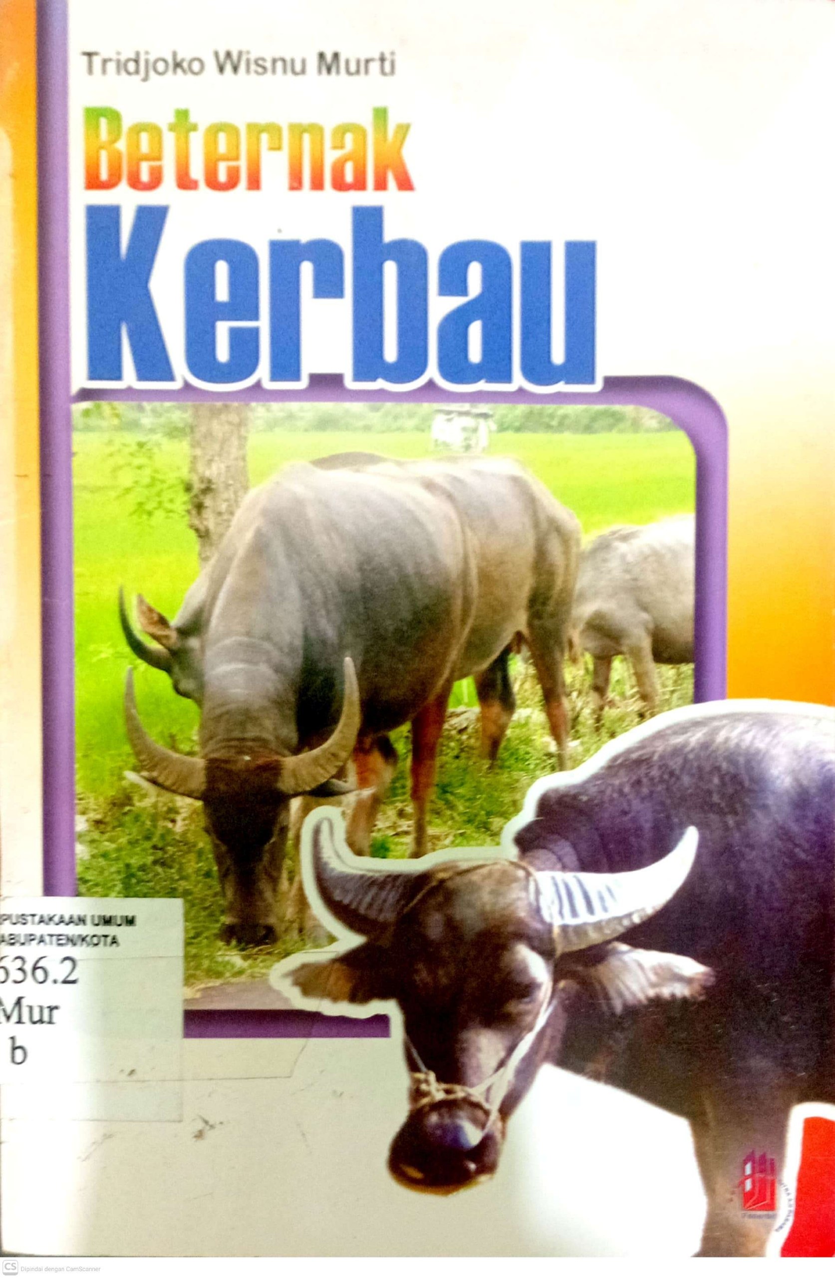Beternak Kerbau
