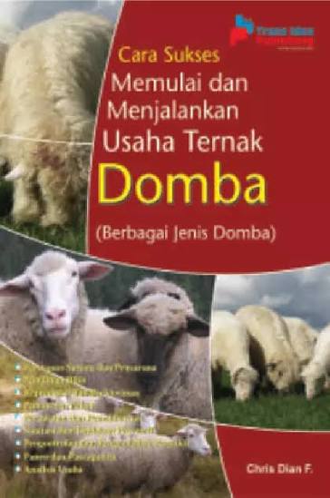 Cara Sukses Memulai dan Menjalankan Usaha Ternak Domba