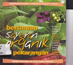 Bertanam Sayuran Organik di Perkarangan