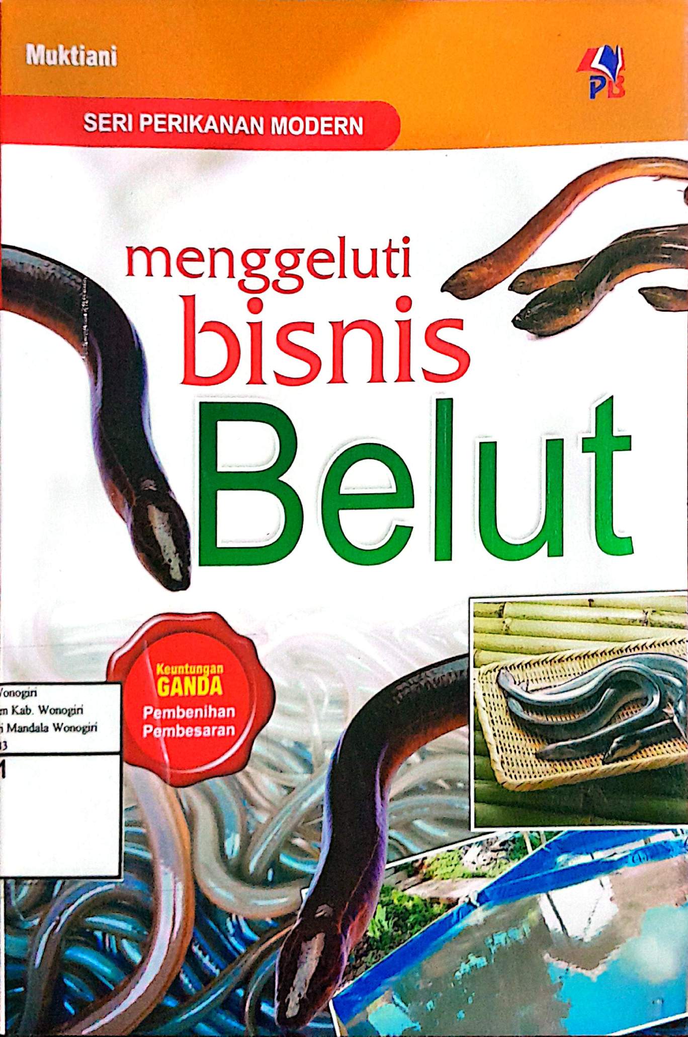 Menggeluti Bisnis Belut
