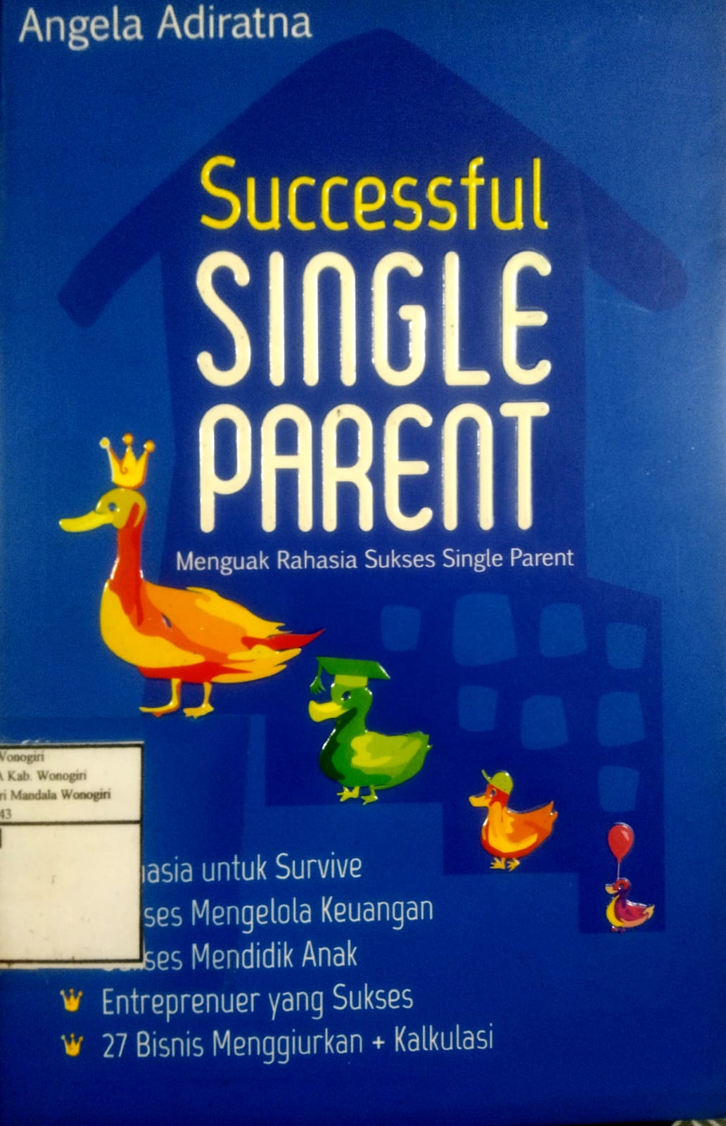 Succesful Single Parent
