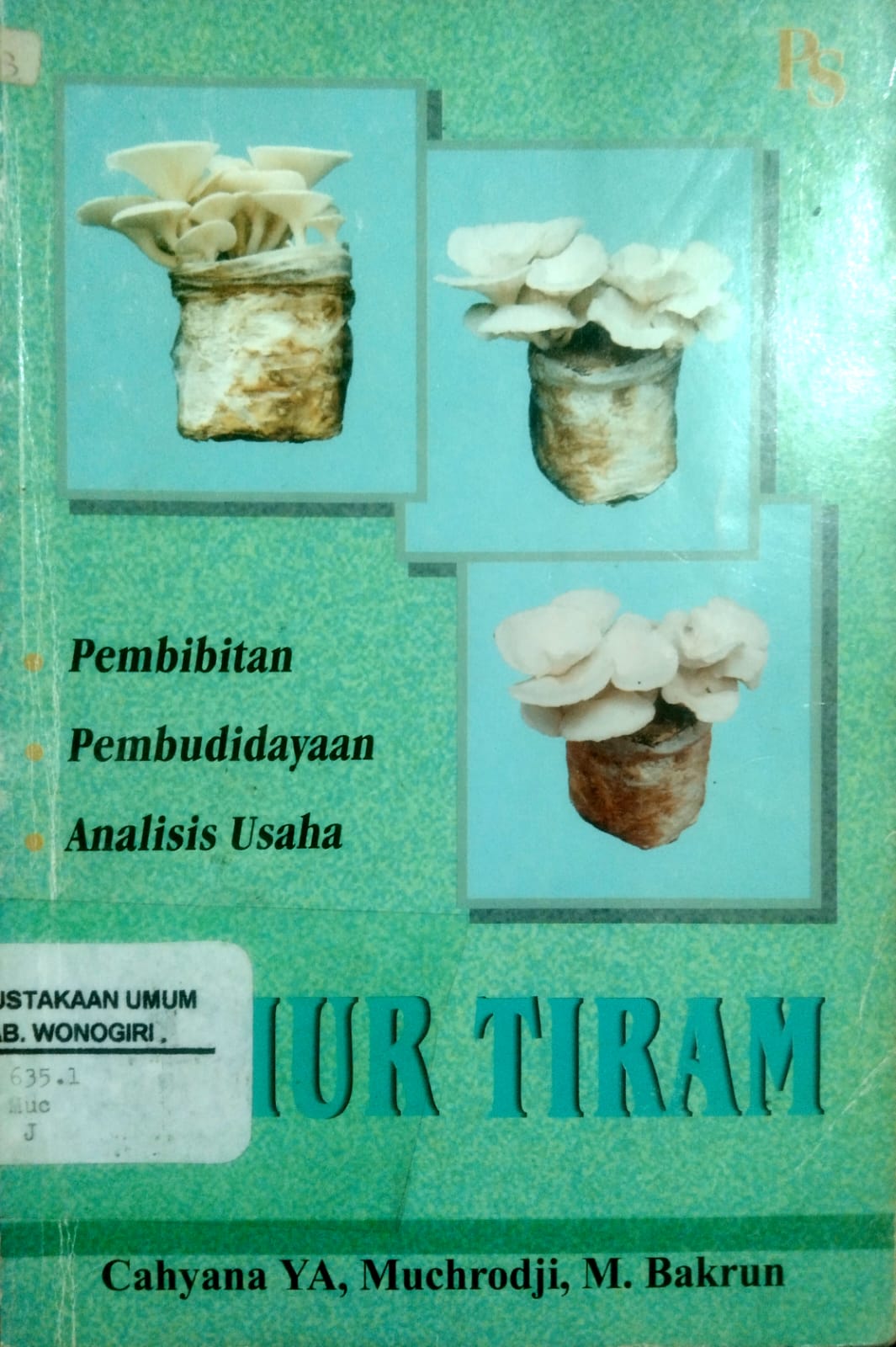 Jamur Tiram